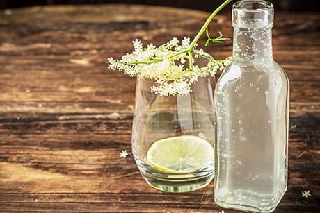 Holunderblüten-Sirup