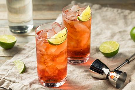 Cape Codder