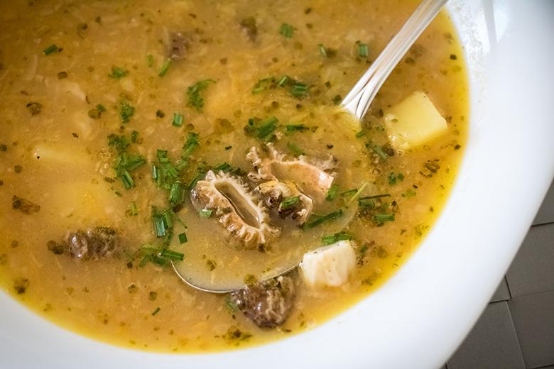 Morchelsuppe