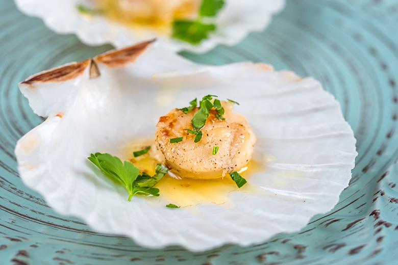 Jakobsmuscheln mit Buttersauce