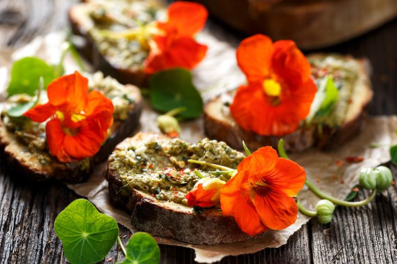 Kapuzinerkresse-Pesto
