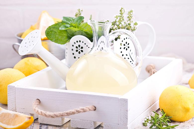 Zitronenlimonade ohne Zucker