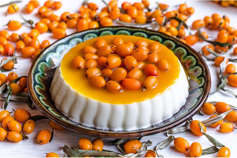 Panna Cotta mit Sanddorn