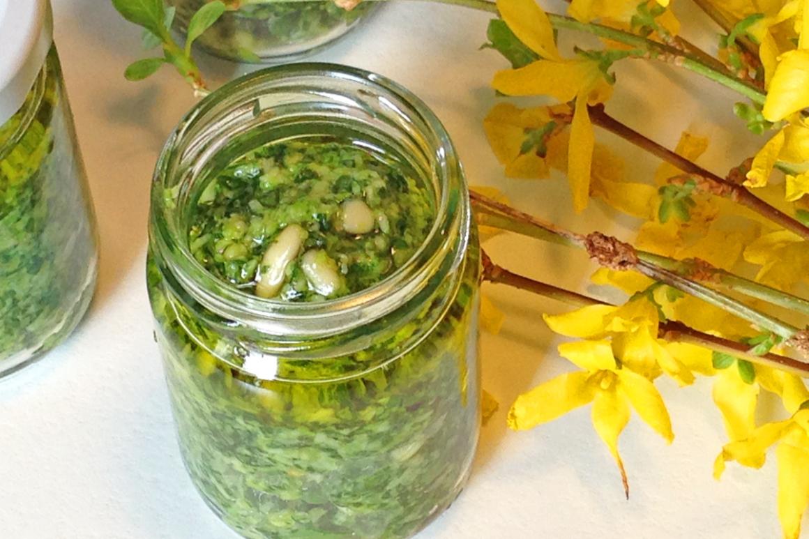 März-Pesto