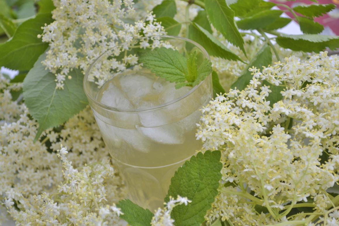 Holunderblütensirup Rezept