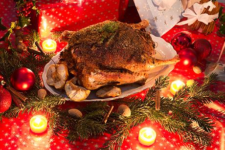 Weihnachtsgans