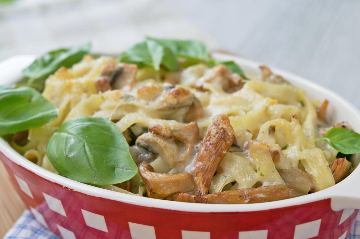 Nudel-Pilz-Gratin