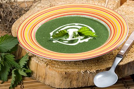 Einfache Brennnesselsuppe