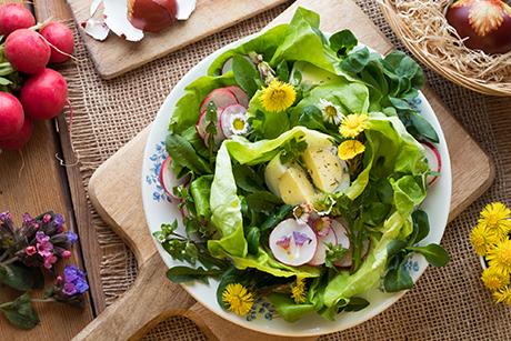Nüsslisalat mit Ei und Radieschen