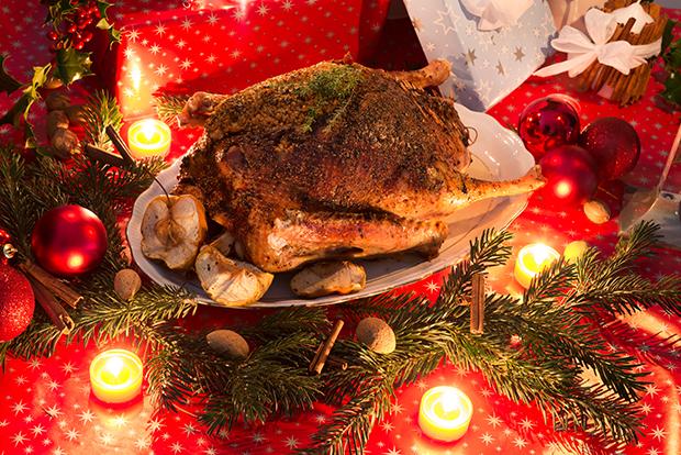 Weihnachtsgans