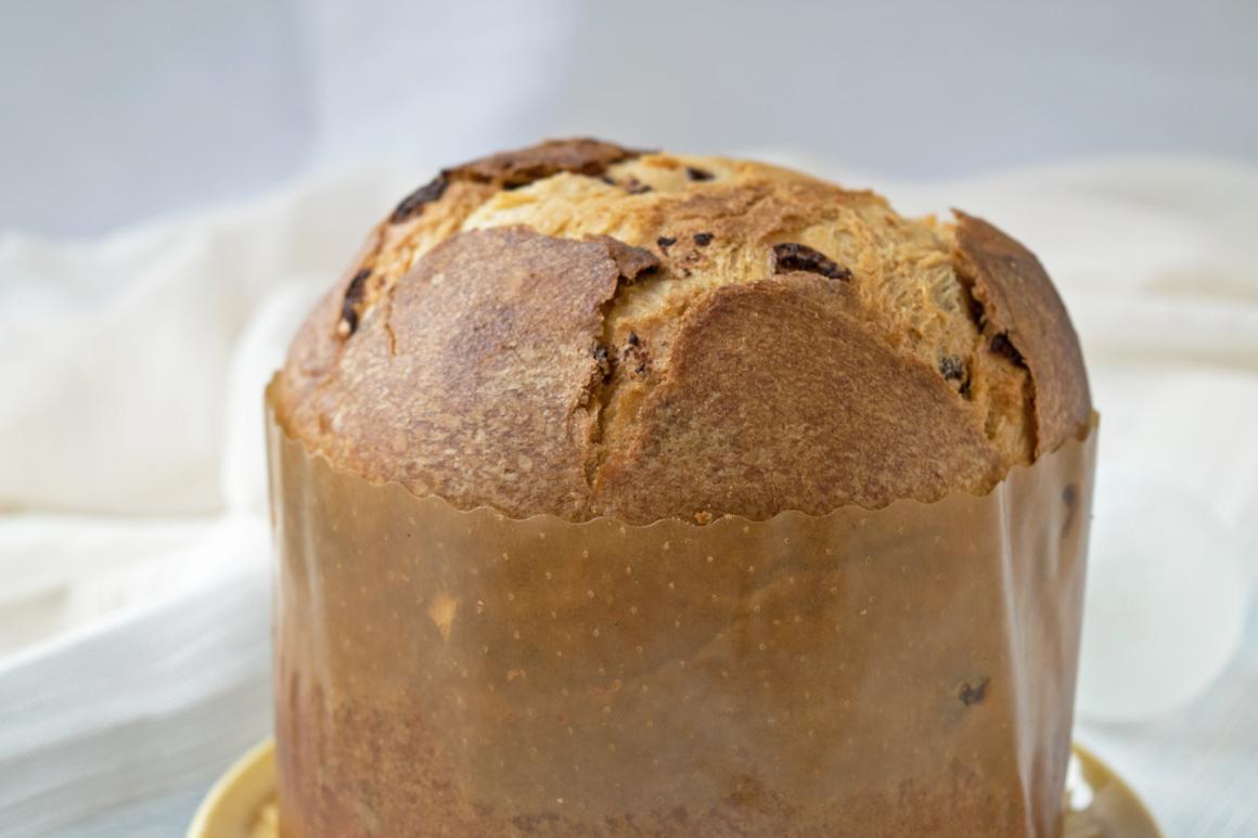 Panettone