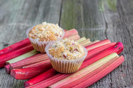 Muffins mit Rhabarber