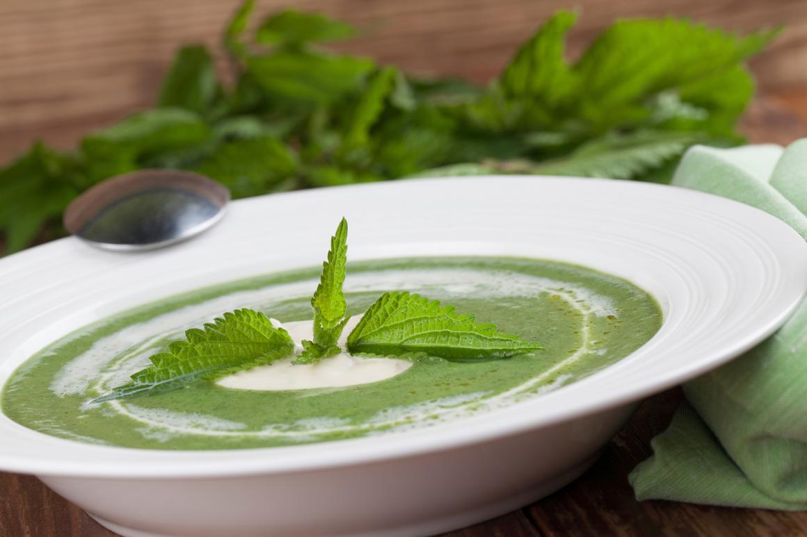 Frühlingssuppe mit Brennnesseln
