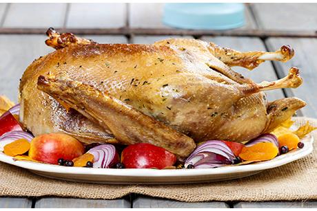 Knusprige Gans