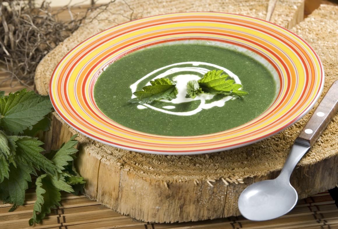 Einfache Brennnesselsuppe