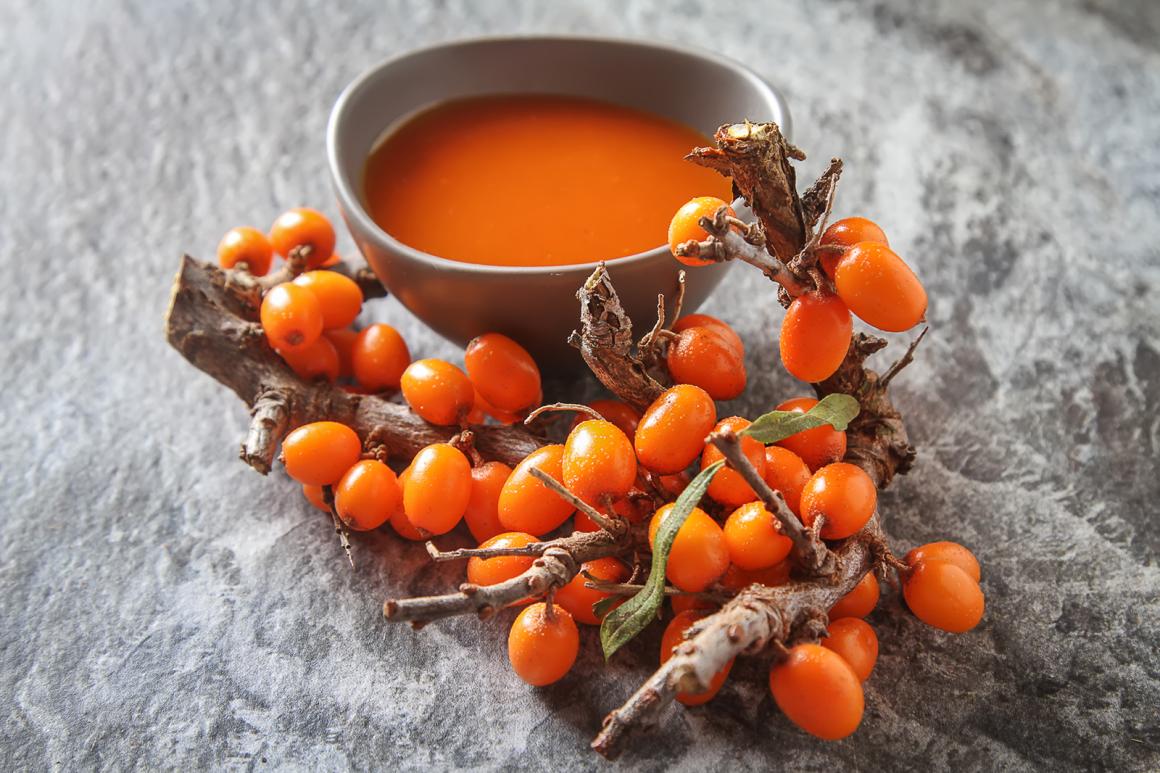 Sanddorn-Suppe