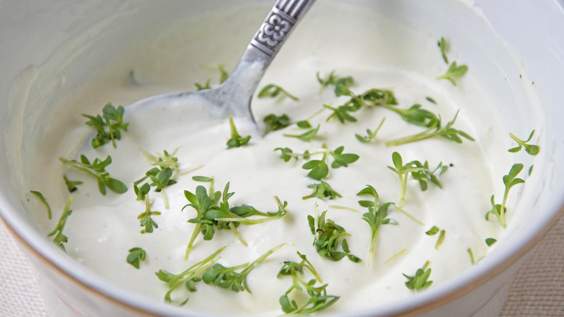 Brunnenkressen-Joghurt