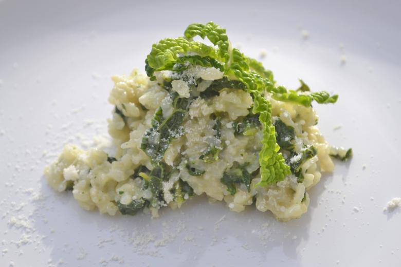 Risotto mit Wirz