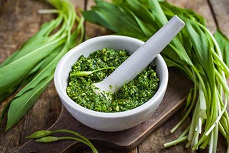 Bärlauchpesto