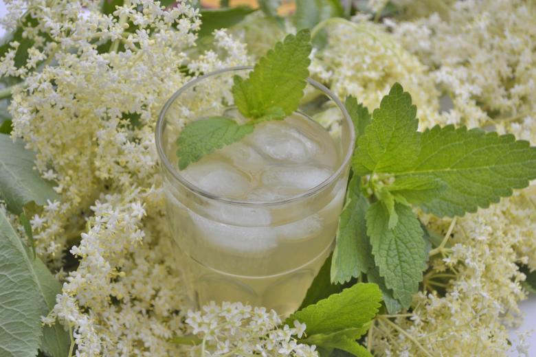 Holunderblütensirup - Rezept