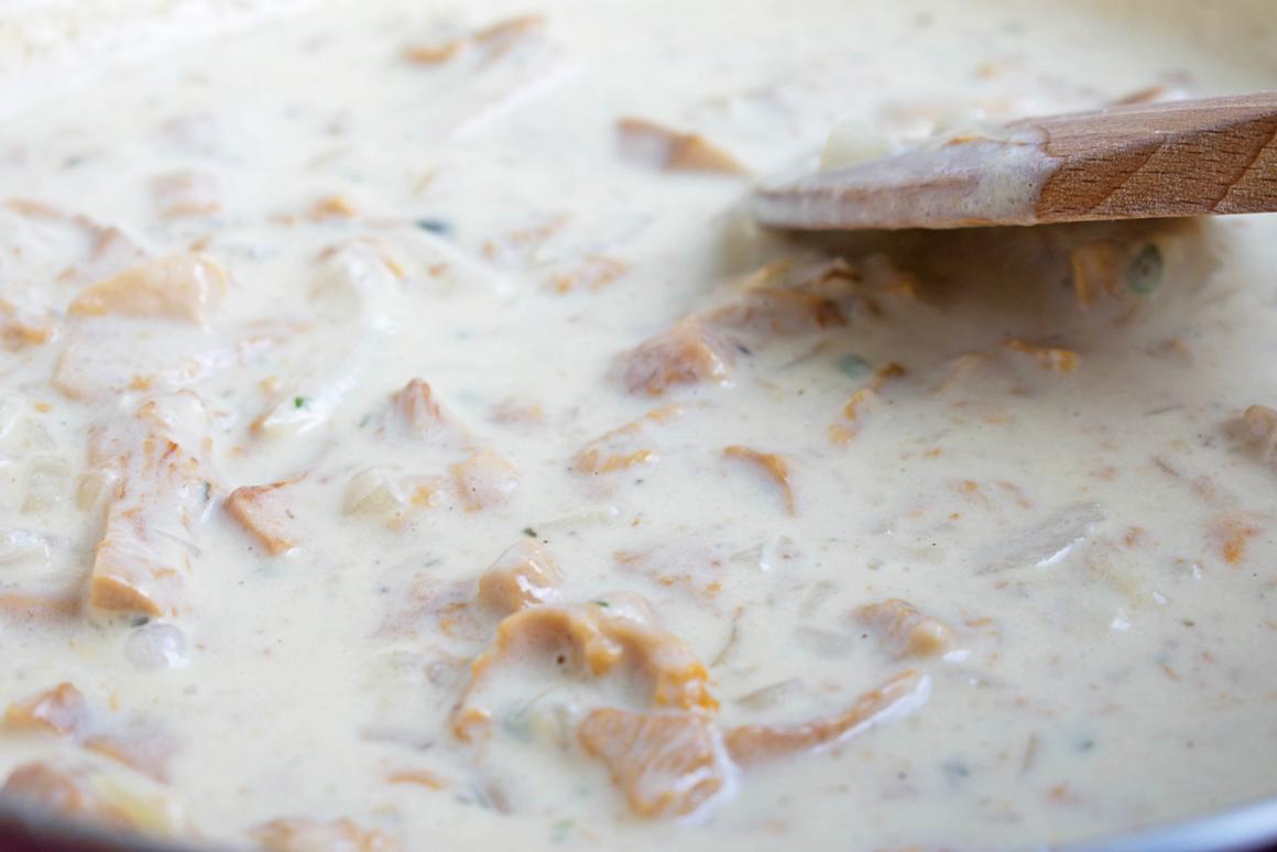 Pilzsauce Grundrezept