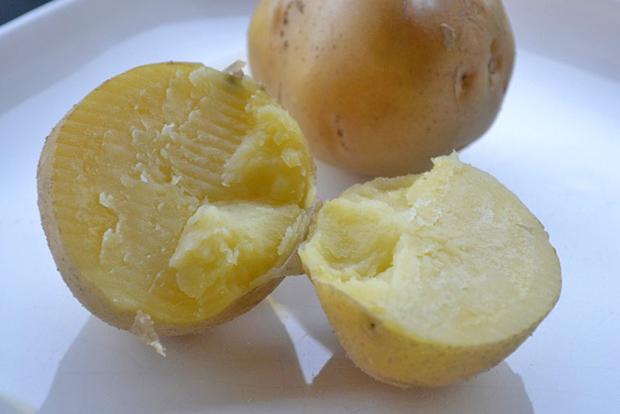 Cholesterinarme Rezepte
