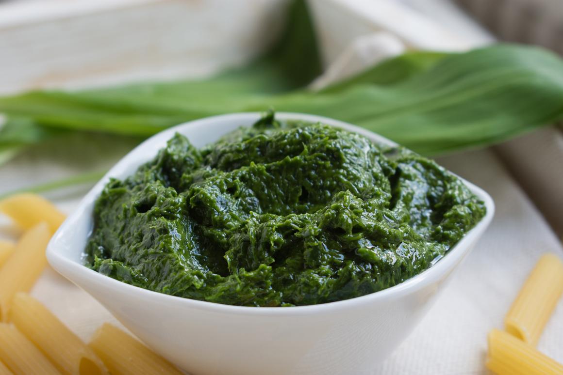 Pesto mit Bärlauch
