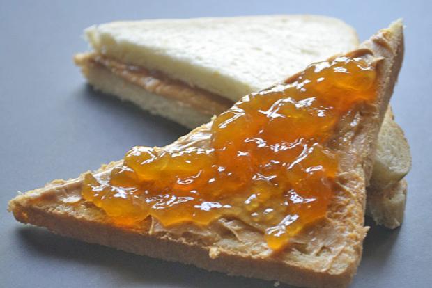 Peanutbutter-Jelly Sandwich