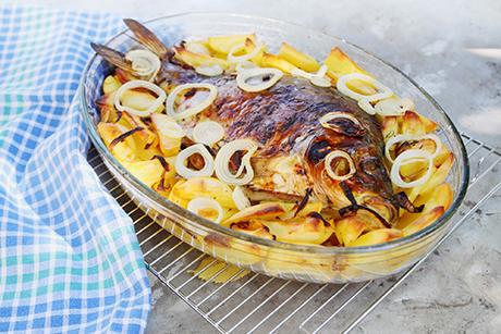 Karpfen gebraten