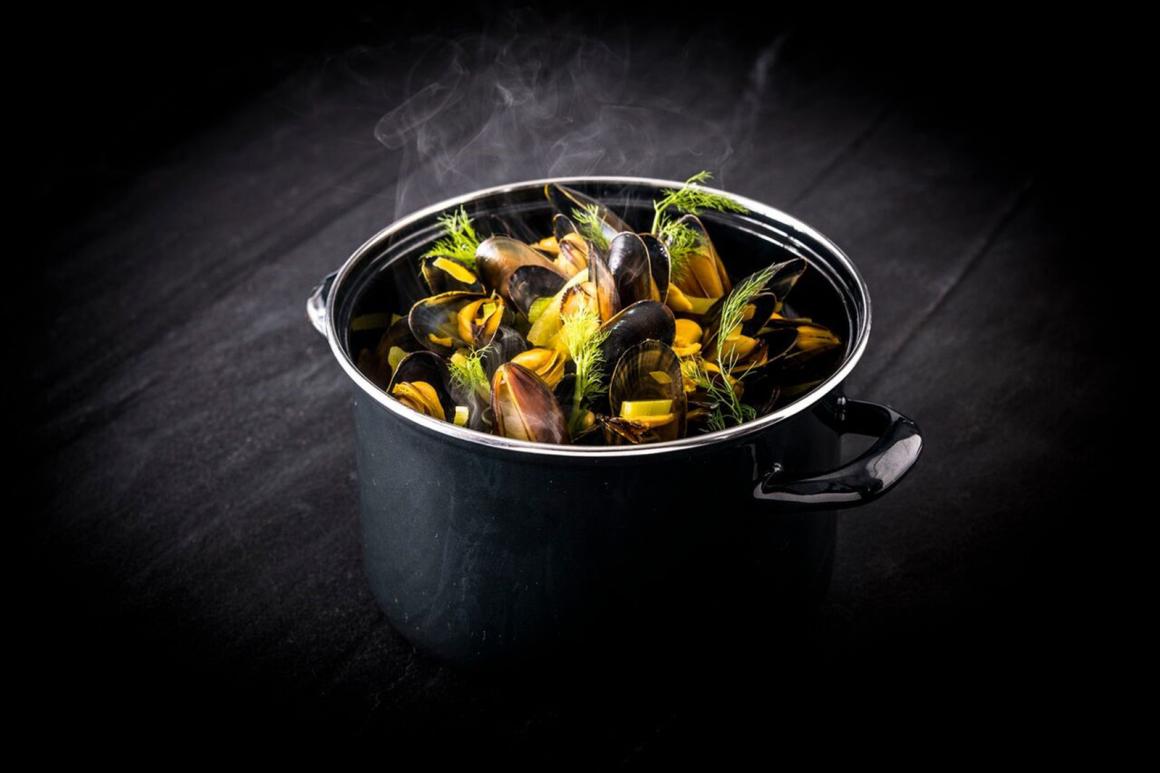 Miesmuscheln mit einem Fenchel-Safran-Bier-Sud