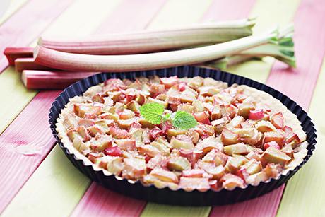 Saftiger Rhabarberkuchen