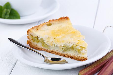 Rhabarberschnitte