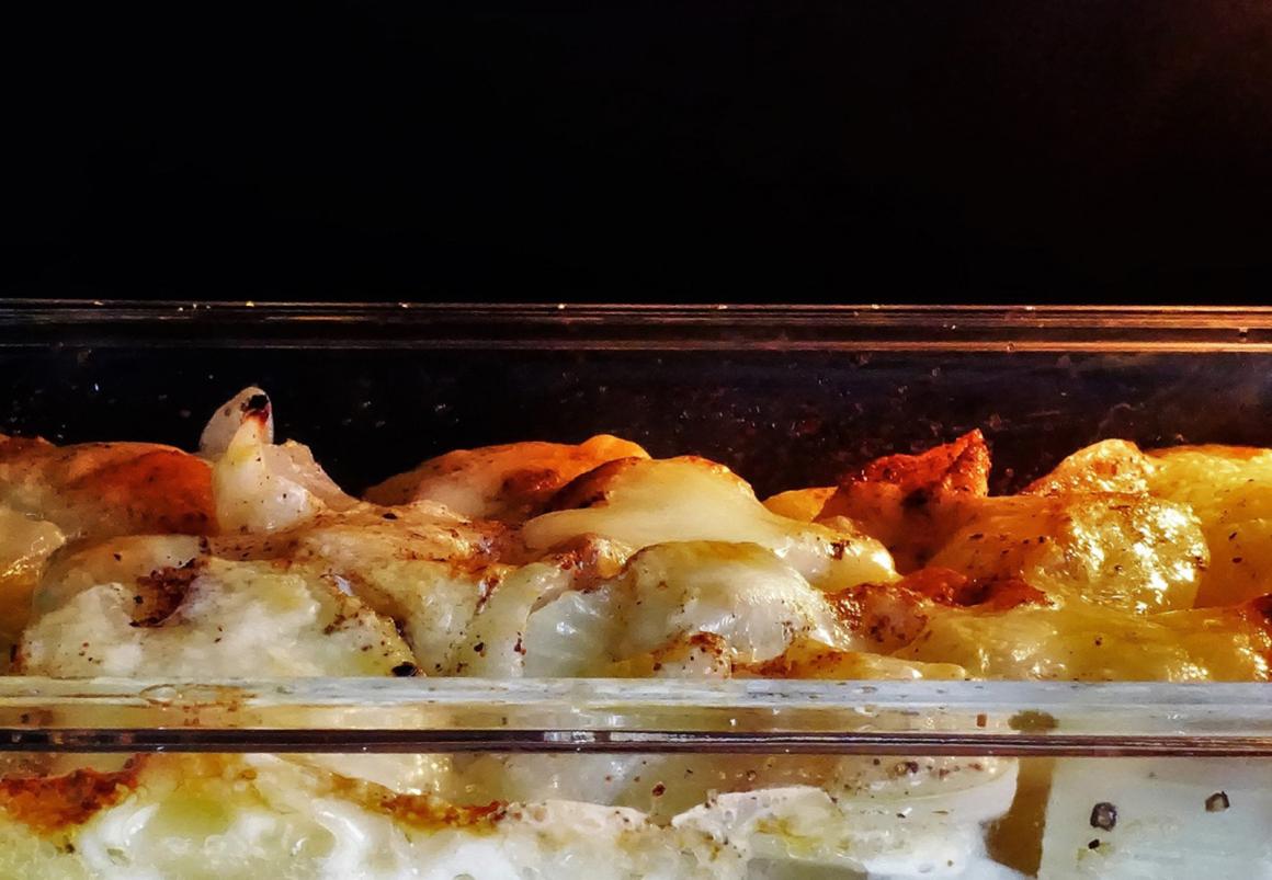 Fenchelgratin - Rezept