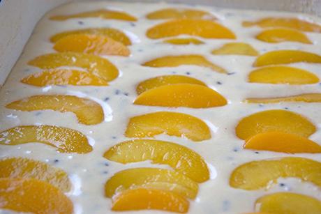 Pfirsichkuchen
