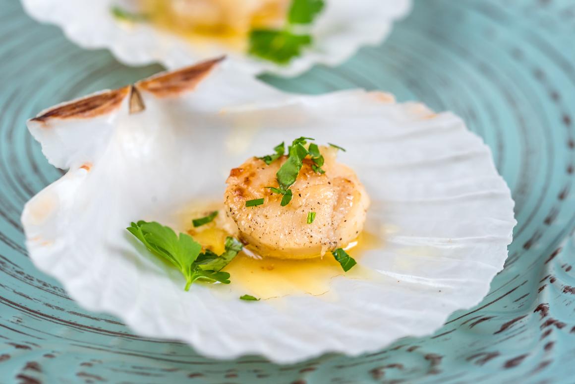 Jakobsmuscheln mit Buttersauce