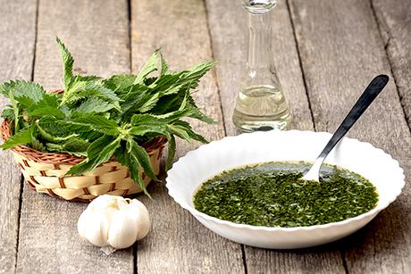 Brennnessel-Suppe mit Knoblauch