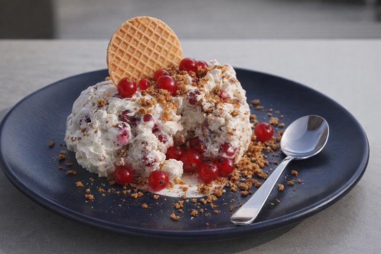 Johannisbeer-Eis mit Reis