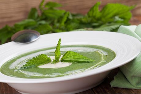 Frühlingssuppe mit Brennnesseln