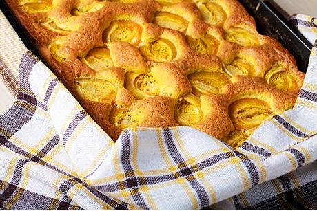 Aprikosen-Blechkuchen