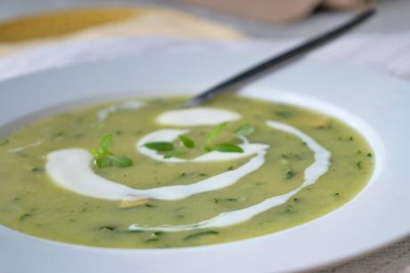 Zucchetti-Minz-Suppe