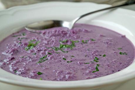 Würzige Rotkohlsuppe