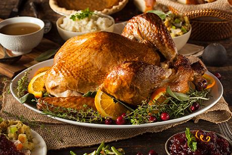 Thanksgiving Truthahn